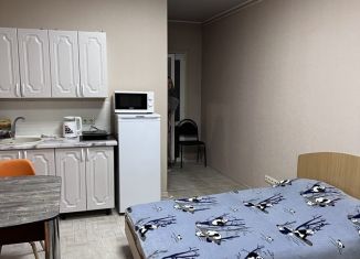 Аренда 1-комнатной квартиры, 26 м2, Севастополь, улица Руднева, ЖК Тульский Квартал