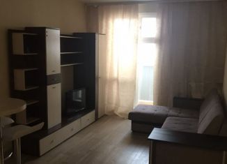 Сдается квартира студия, 24 м2, Новосибирск, улица Забалуева, 90