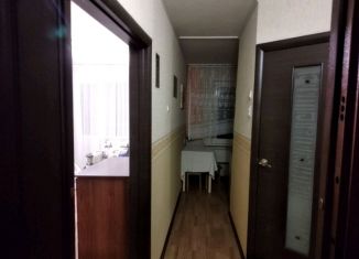 Сдается однокомнатная квартира, 30 м2, Новосибирск, Чемская улица, 2, Чемская улица