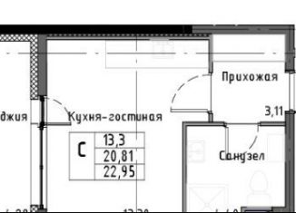 Продается квартира студия, 25.1 м2, Санкт-Петербург, Дачный проспект, муниципальный округ Княжево
