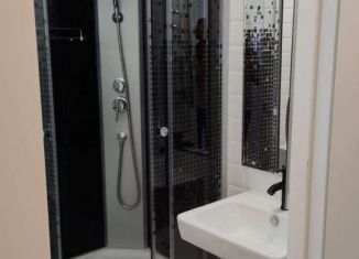 Сдам в аренду квартиру студию, 25 м2, Мурино, Ручьёвский проспект, 2, ЖК Авиатор