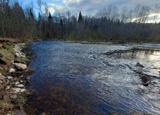 Продам дачу, 45 м2, Старица