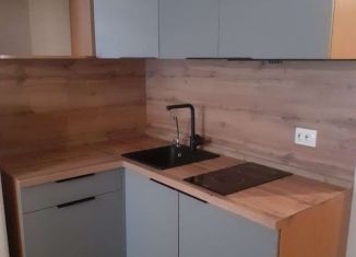 Продаю однокомнатную квартиру, 22.8 м2, посёлок Парголово, Толубеевский проезд, 8к2