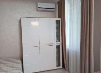 Аренда 1-комнатной квартиры, 34 м2, Сочи, Клубничная улица, 62, микрорайон Новый Сочи