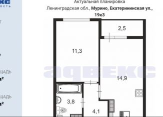 Продается 1-комнатная квартира, 35.5 м2, Мурино, ЖК Урбанист, Екатерининская улица, 19