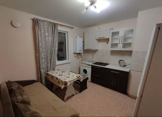 Аренда 1-комнатной квартиры, 40 м2, деревня Куюки, 8-й квартал, 4