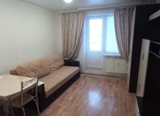 Сдается квартира студия, 23.5 м2, Мурино, проспект Авиаторов Балтики, 11/1, ЖК Три кита