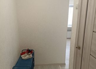 1-комнатная квартира в аренду, 30.4 м2, Курская область, улица Менделеева, 43