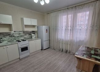 1-комнатная квартира в аренду, 40 м2, Новороссийск, улица Котанова, 1, ЖК Уютный