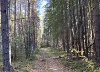 Дом на продажу, 50 м2, деревня Семёновское, деревня Семёновское, 13