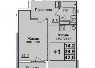 Продаю 1-ком. квартиру, 42 м2, Нижегородская область