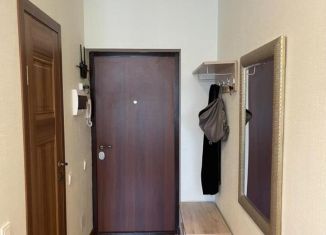 Сдам квартиру студию, 27 м2, Санкт-Петербург, Московский проспект, 183-185Ак7Б, ЖК Граф Орлов