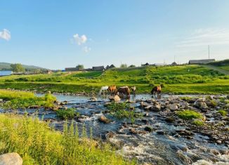 Продажа участка, 15 сот., село Тюлюк