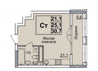 Продается квартира студия, 30 м2, Нижегородская область