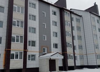 Продаю однокомнатную квартиру, 26 м2, деревня Крутые Выселки, ЖК Изумрудный Город, Лучезарная улица, 10