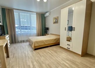 Сдается в аренду квартира студия, 29 м2, Сочи, Ломоносовская улица, 2Б, микрорайон Яна Фабрициуса