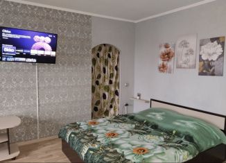 2-комнатная квартира в аренду, 41 м2, Волгоградская область, Набережная улица, 59