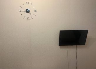 Аренда 1-комнатной квартиры, 30 м2, деревня Куюки, 10-й квартал, 10