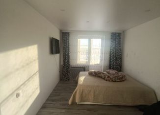 1-ком. квартира в аренду, 50 м2, деревня Кисельня, Центральная улица, 13