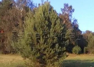 Земельный участок на продажу, 15 сот., деревня Раскаты, Центральная улица