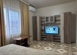 1-комнатная квартира в аренду, 40 м2, Крымск, Привольная улица, 28