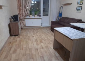 Сдается в аренду квартира студия, 27 м2, Мурино, проспект Авиаторов Балтики, 13, ЖК Охтинская Дуга