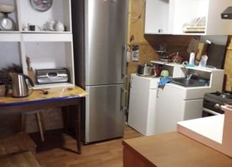 Сдам в аренду дом, 45 м2, село Новое, улица Маяковского, 8