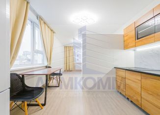 Сдается в аренду квартира студия, 25 м2, Екатеринбург, улица Фрунзе, 31, Ленинский район