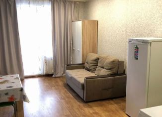 Сдаю в аренду квартиру студию, 25 м2, Татарстан, Даурская улица, 34Б