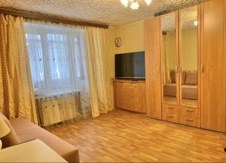 Продажа 2-комнатной квартиры, 50.5 м2, Санкт-Петербург, Красногородская улица, 19к2