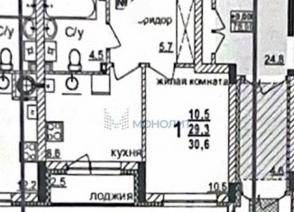 Продажа однокомнатной квартиры, 30.6 м2, Нижний Новгород, Зеленхозовская улица, 1Т, метро Парк Культуры