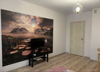 Сдам квартиру студию, 27 м2, Ростов-на-Дону, улица Тимофеева, 14к2, ЖК Платовский