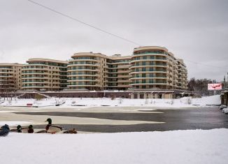 4-ком. квартира на продажу, 227 м2, Санкт-Петербург, Вязовая улица, 8, Петроградский район