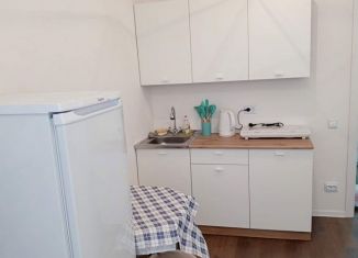 Сдается квартира студия, 17 м2, Санкт-Петербург, Муринская дорога, 31к3, муниципальный округ Полюстрово