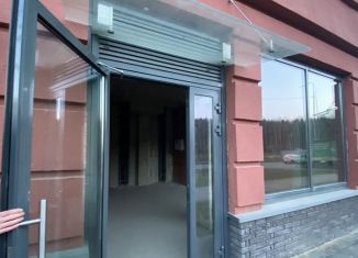 Продам помещение свободного назначения, 40 м2, Мурино, улица Шувалова, 39