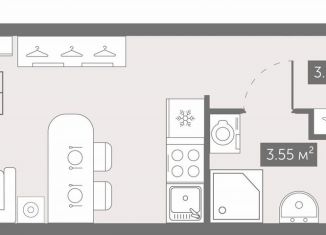 Продаю квартиру студию, 19.9 м2, Санкт-Петербург, метро Проспект Большевиков