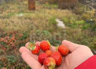 Продается участок, 4 сот., Омск, садоводческое некоммерческое товарищество Радист, 164