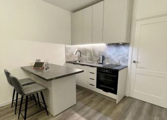 Сдается квартира студия, 24 м2, Санкт-Петербург, Пулковское шоссе, 95к3