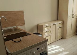 Сдаю в аренду квартиру студию, 17 м2, Екатеринбург, улица Шаумяна, 86к4, метро Геологическая
