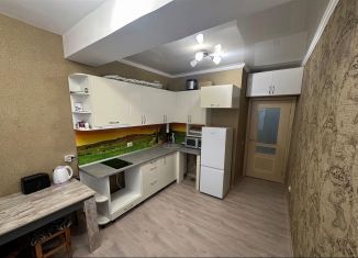 Продается 1-ком. квартира, 43 м2, посёлок Российский, улица Куликова Поля, 23