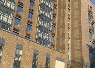Продаю однокомнатную квартиру, 53.9 м2, Нижний Новгород, улица Коминтерна, 162А, микрорайон Дарьино