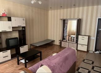 Квартира в аренду студия, 36 м2, Омск, улица Крупской, 14к5