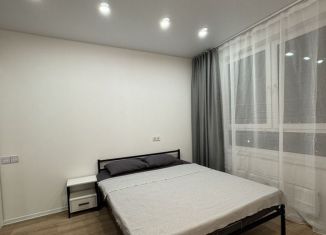 Квартира в аренду студия, 25 м2, село Ям, улица Мезенцева, 4