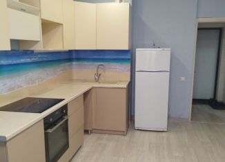 Аренда 1-комнатной квартиры, 40 м2, Новосибирск, улица Ясный Берег, 14, метро Речной вокзал