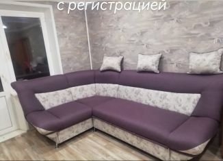 Сдается двухкомнатная квартира, 48 м2, Нижнекамск, улица Гагарина, 23