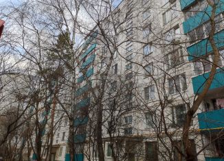 Продажа двухкомнатной квартиры, 47.7 м2, Москва, 16-я Парковая улица, 35, метро Первомайская