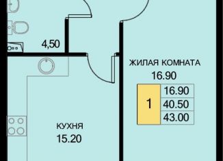 1-ком. квартира на продажу, 43 м2, поселок Южный, Екатерининская улица, 7к1