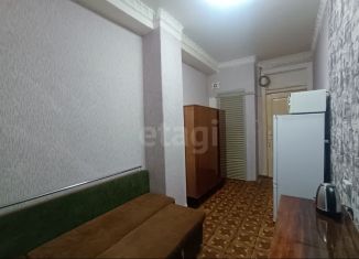 Комната в аренду, 60 м2, Санкт-Петербург, Турбинная улица, 14к2