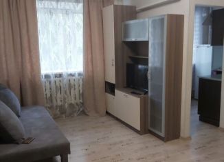 1-комнатная квартира в аренду, 30 м2, Татарстан, улица Павлюхина, 108А