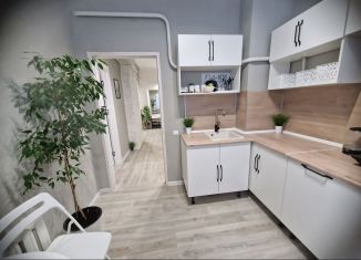 Сдам в аренду 2-ком. квартиру, 50 м2, Екатеринбург, улица Малышева, 128